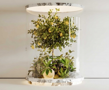 Modern Plant Landscaping-ID:572155953