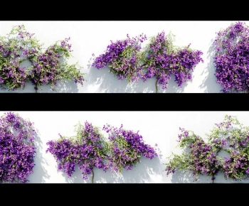 Modern Vine-ID:658803943