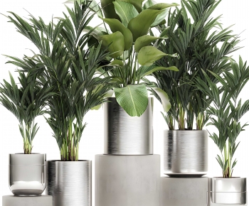 Modern Ground Green Plant Potted Plants-ID:349199812