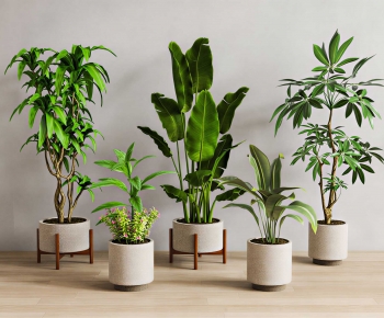 Modern Ground Green Plant Potted Plants-ID:302491904