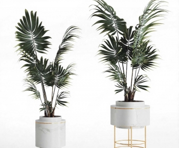 Modern Ground Green Plant Potted Plants-ID:230960898