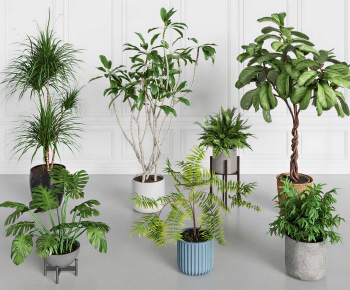 Modern Ground Green Plant Potted Plants-ID:423261882