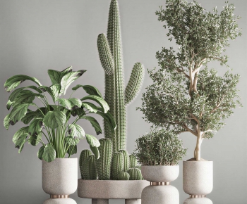 Modern Ground Green Plant Potted Plants-ID:378237012