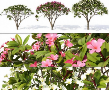 Modern Shrubbery-ID:451267962