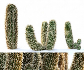 Modern Plant-ID:155460822