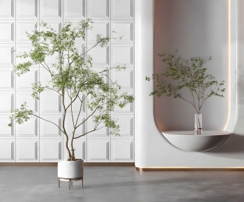 Modern Potted Green Plant-ID:479177959