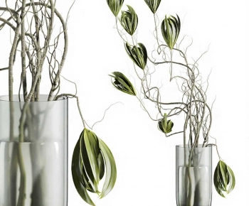 Modern Aquatic Green Plant-ID:652061949