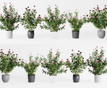 Modern Ground Green Plant Potted Plants-ID:984910014