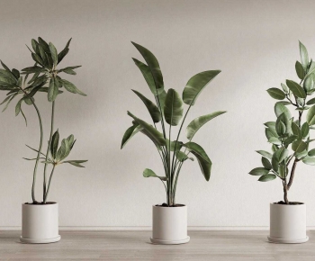 Modern Ground Green Plant Potted Plants-ID:511568071