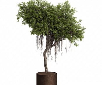 Modern Ground Green Plant Potted Plants-ID:965986975