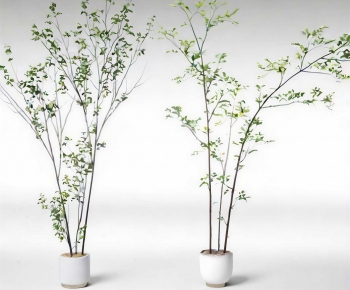 Modern Ground Green Plant Potted Plants-ID:325711976