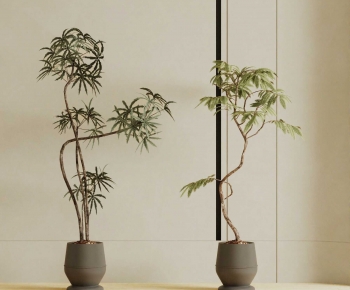 Modern Ground Green Plant Potted Plants-ID:277575971