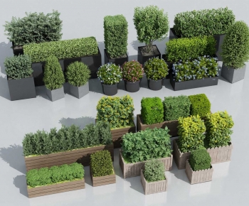 Modern Flower Bed, Flower Bowl, Flower Box-ID:258780964