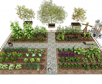 Modern Crop-ID:553015953