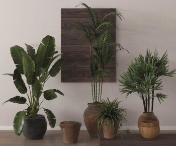 Wabi-sabi Style Ground Green Plant Potted Plants-ID:950431119