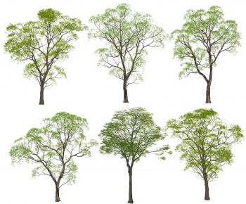 Modern Tree-ID:922732113