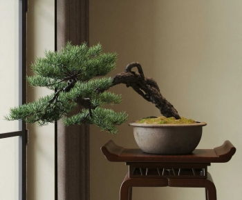 New Chinese Style Bonsai-ID:518801933