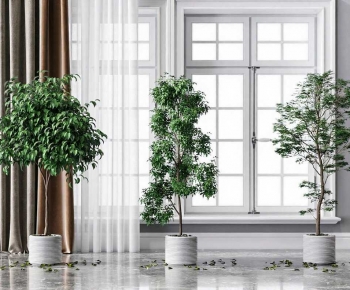 Modern Ground Green Plant Potted Plants-ID:832099913