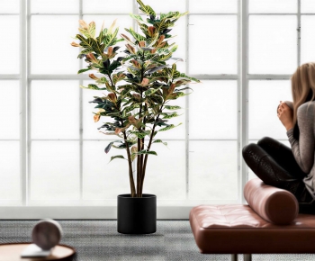 Modern Ground Green Plant Potted Plants-ID:651559825