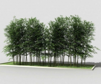 Modern Bamboo-ID:154244905