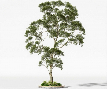 Modern Tree-ID:461092954