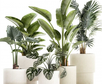 Modern Ground Green Plant Potted Plants-ID:519881012