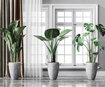Modern Ground Green Plant Potted Plants-ID:745321996