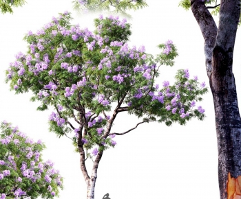 Modern Tree-ID:113502982