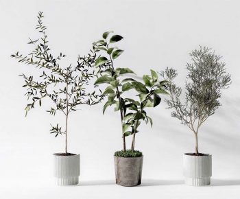 Modern Ground Green Plant Potted Plants-ID:674788005