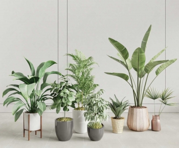 Modern Ground Green Plant Potted Plants-ID:502207998