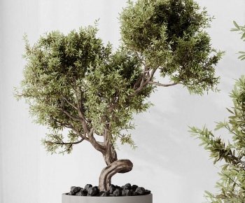 New Chinese Style Potted Green Plant-ID:336316112