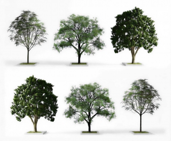 Modern Tree-ID:896742115