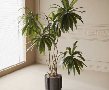 Modern Ground Green Plant Potted Plants-ID:502635009