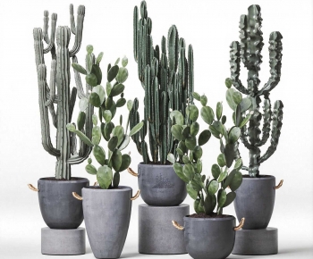Modern Ground Green Plant Potted Plants-ID:382580047