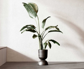 Modern Ground Green Plant Potted Plants-ID:907001971