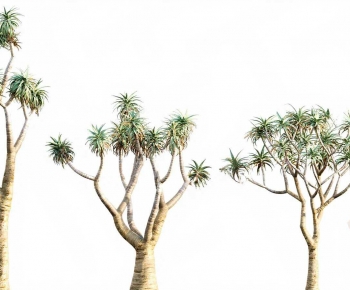 Modern Tree-ID:542083024