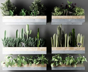 Modern Flower Bed, Flower Bowl, Flower Box-ID:363359937