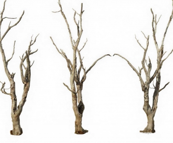 Modern Tree-ID:936430938