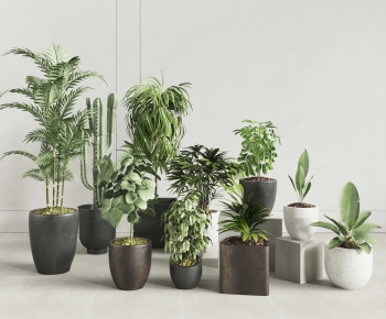 Modern Ground Green Plant Potted Plants-ID:152523045