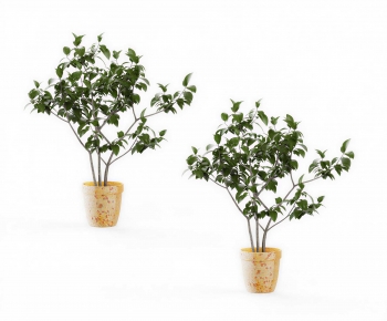 Modern Potted Green Plant-ID:151245129