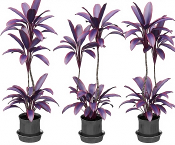 Modern Potted Green Plant-ID:582642083