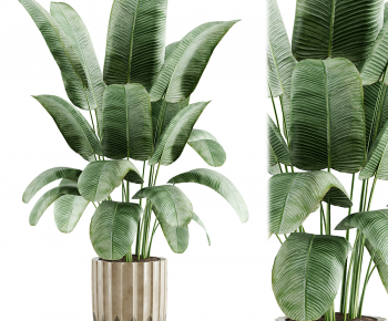 Modern Ground Green Plant Potted Plants-ID:800086026