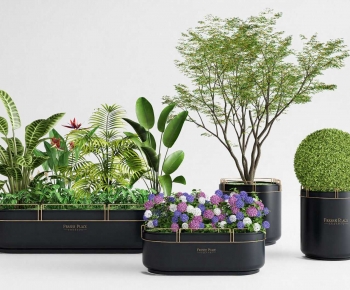 Modern Flower Bed, Flower Bowl, Flower Box-ID:338956129