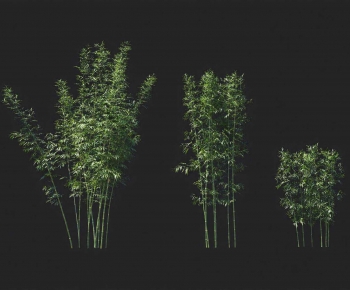 Modern Bamboo-ID:244929085