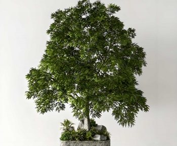 Modern Tree-ID:664908987