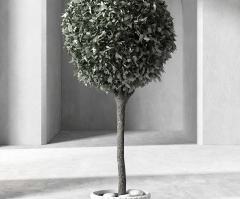 Modern Ground Green Plant Potted Plants-ID:251899004