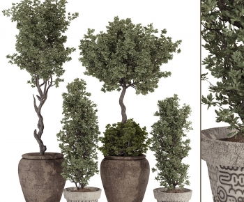 Modern Ground Green Plant Potted Plants-ID:983757972