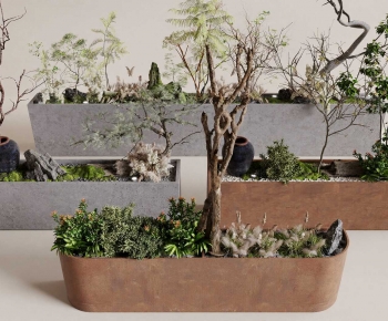 Modern Flower Bed, Flower Bowl, Flower Box-ID:569310232