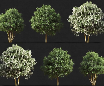 Modern Tree-ID:774996043