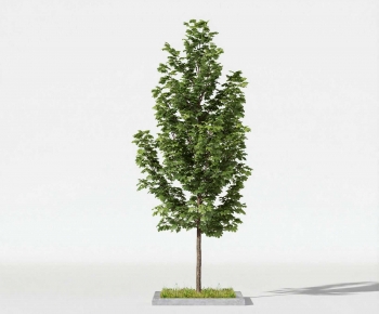 Modern Tree-ID:692610987